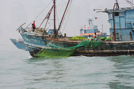 Algae cleared, Olympic sailors begin to practise normally in Qingdao