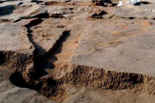 Shang salt workshop site found in Shandong