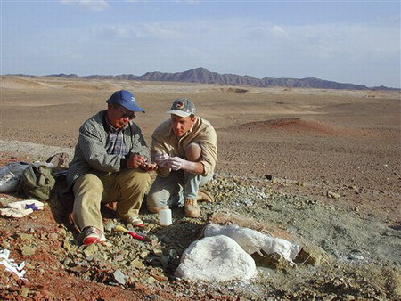 China's Gobi desert source of rare dinosaur find