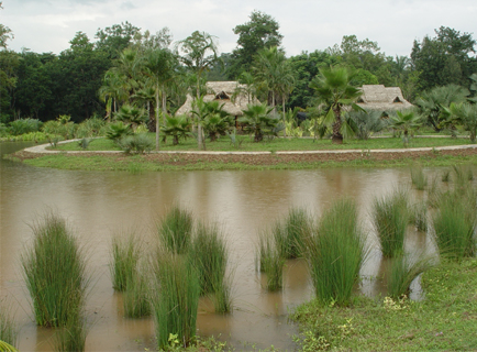 The Palm Garden