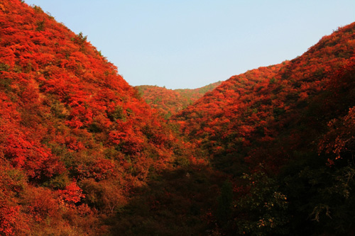 Wangwu Mountain