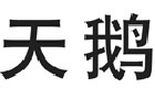 驰名商标展示