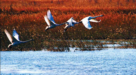 Scenery, flora and fauna make this spot a natural tourist draw