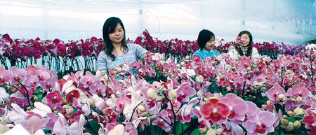 Farmers rent their land to city folk so they can stay and work on it