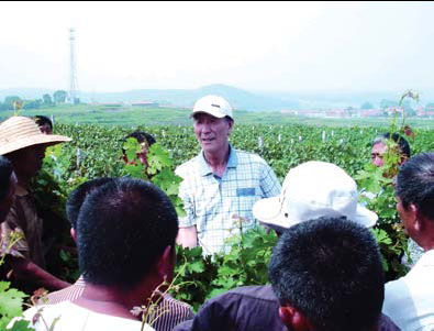 Changyu's uniquely individual approach to wine production