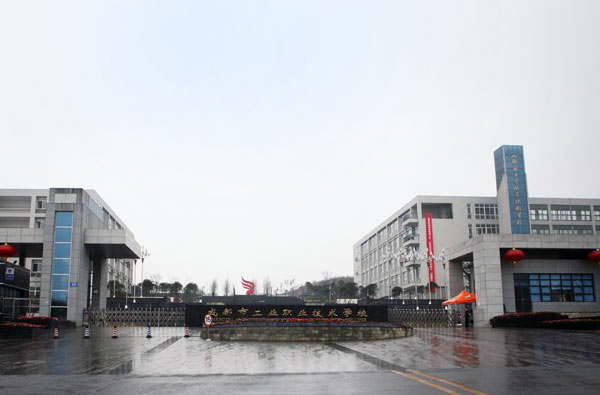 Chengdu's vocational education goes international
