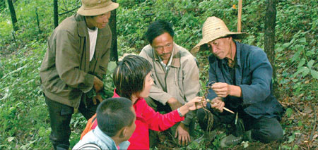 Ginseng tradition alive in Wanliang center