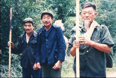 Ginseng tradition alive in Wanliang center