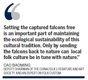 Expert: Freeing falcons keeps tradition alive