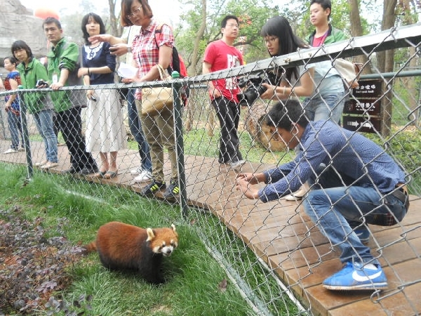 Red panda research center inaugurated