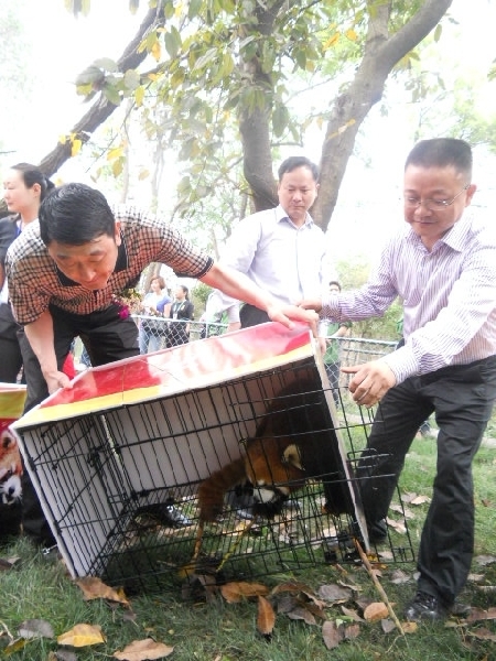 Red panda research center inaugurated