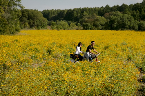 Jingye National High-tech Industrial Development Zone