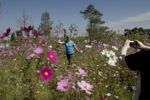 Changdongbei Urban Ecological Wetland Park