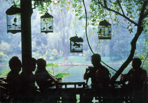 Chengdu-a leisure city