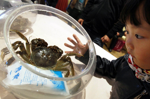 CHINA-SHANGHAI-RIVER CRAB CONTEST (CN)