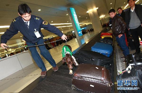 CHINA-SHANGHAI-SPRING FESTIVAL-QUARANTINE CHECK-DOG