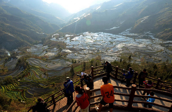 Patchwork beauty of Yunnan terraced fields