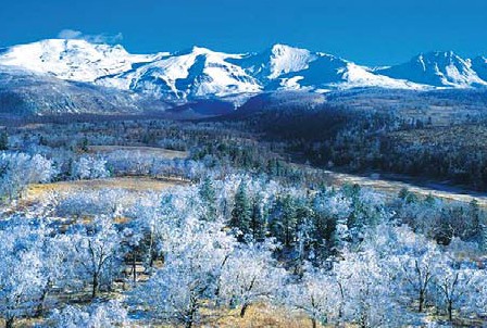 Jilin a hot spot for cold fun