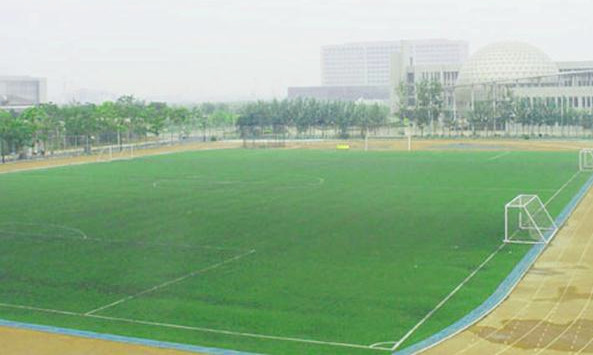 Tianjin Institute of Urban Construction Stadium