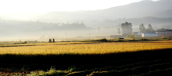 Tourists visit Shaxi town