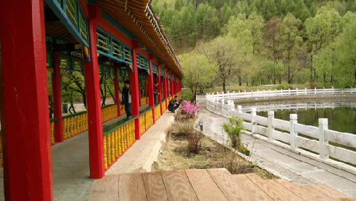 Inner Mongolia seeks to build ecological shelter