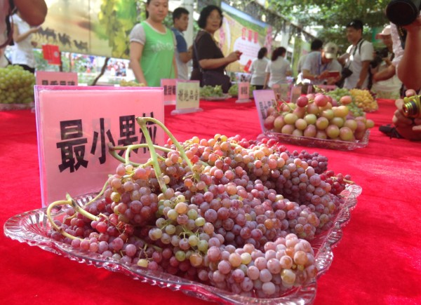 Turpan Grape Festival returns