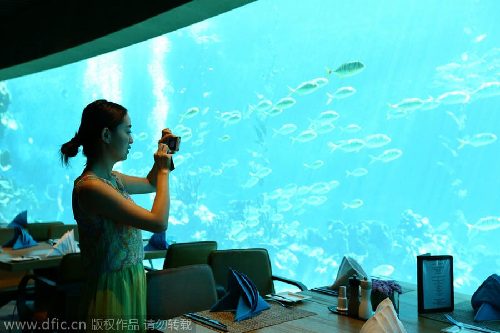 Undersea restaurant opens in Sanya