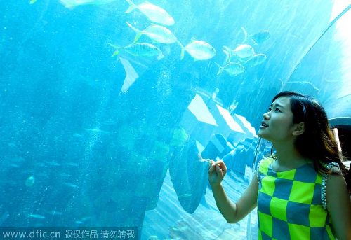 Undersea restaurant opens in Sanya