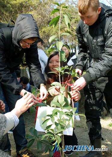 Chinese and foreign students plant friendship trees