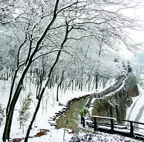 Nanjing Ming Dynasty City Wall