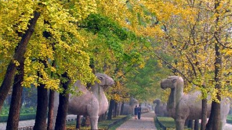 Silk Road journeys in Jiangsu