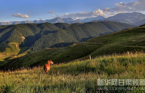 Natural forest protection in NW China