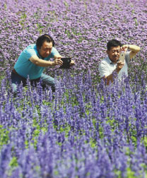 Silk Road spirit thrives in Ningxia