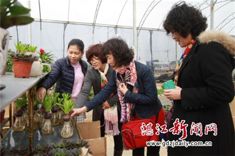 2016 Guangdong Zhanjiang Flower Exposition opens