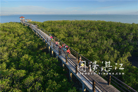 Zhanjiang steps up efforts to make strides in 2016