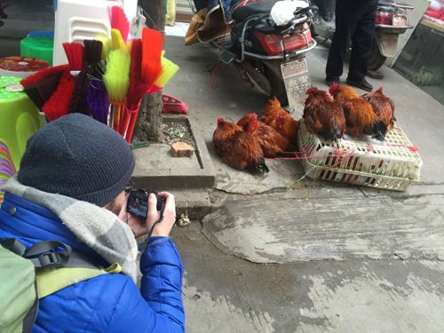 Josh and Molly in Chengdu