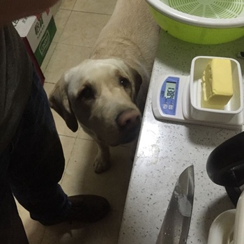 Josh and Molly in Chengdu