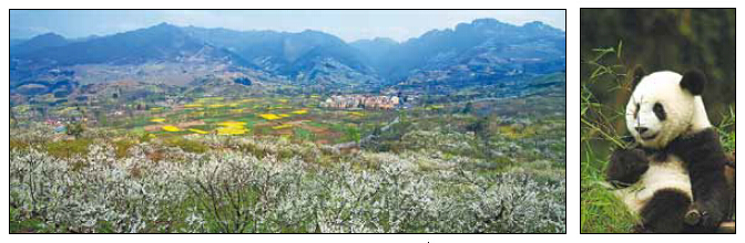 Picturesque Pengzhou is perfect place for profit or pleasure