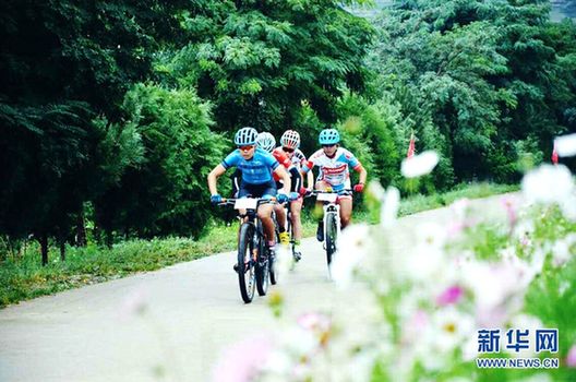 Mountain bikers race through lush landscape