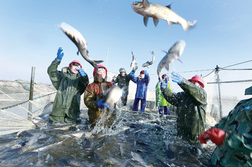 Colorful New Year celebrations across Jiangsu