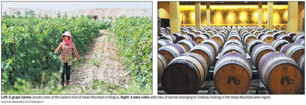 Ningxia's wine industry goes global