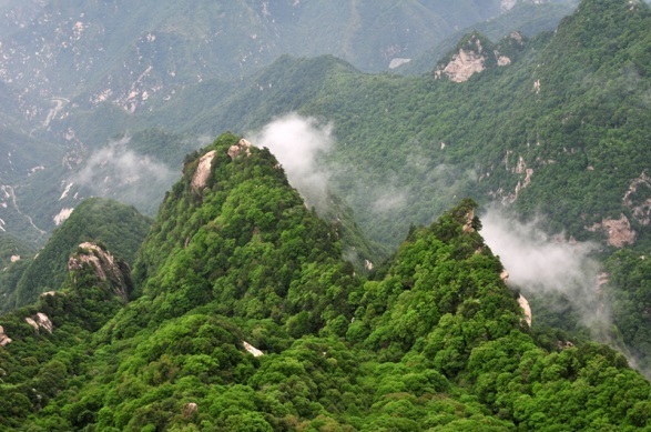 Lingbao dubbed one of China's most beautiful counties