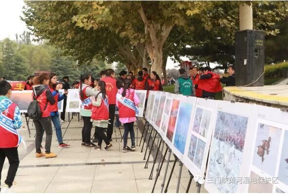 Sanmenxia launches White Swans' Day activity