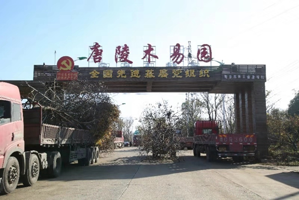 In pics: Zhenjiang shows progress in rural rejuvenation