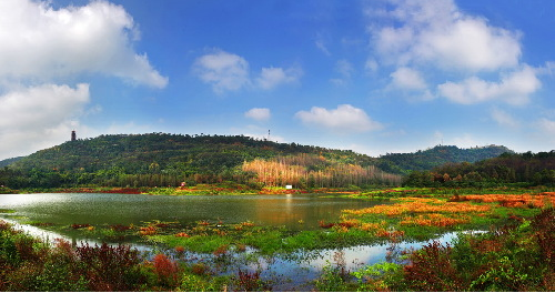 Autumn leaves linger in Chongqing