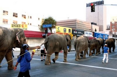 Elephants to crash Staples before Jackson memorial