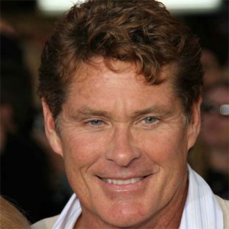 David Hasselhoff returns to TV