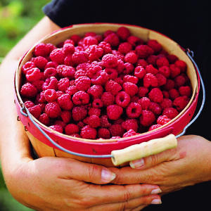 Going to Beijing's suburb to pluck fresh fruits