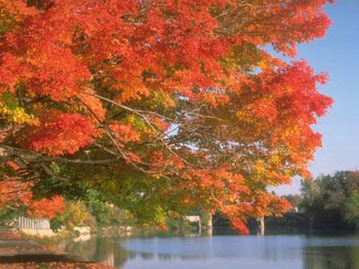 Jinhai Lake