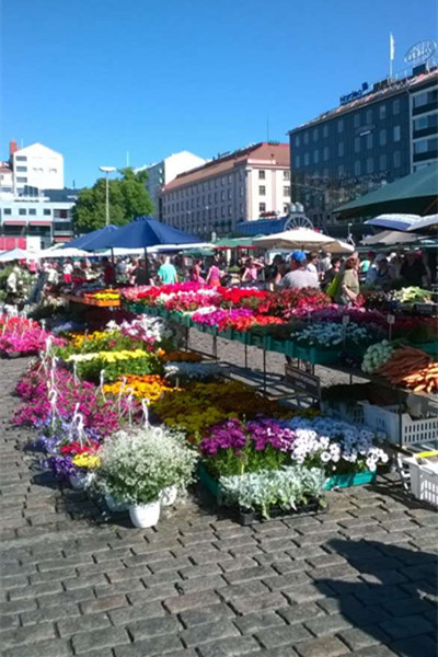 Journey to the Silk Road - Finland